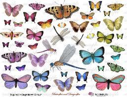 Mhoptry81's profile picture. It is what it is