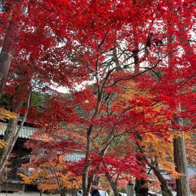 QqAgpf11's profile picture. 