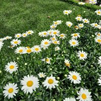 Tatjara-hasia (@tatjaraaa) 's Twitter Profile Photo