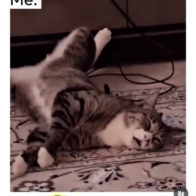 Mahlee03608207's profile picture. live today, tomorrow is for God to decide.