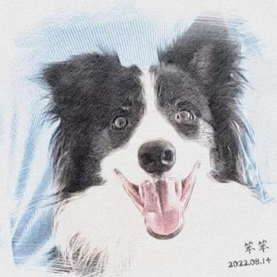 vincent51043428's profile picture. Monk