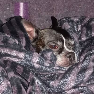 En teoría todo se oye bonito, todo.
Es hermoso cuando alguien en vez de ofenderse (y/o bloquearme) responde a mí sarcasmo con más sarcasmo.
#Pistantrofobico