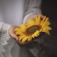 ترانيم االعمر🇴🇲🇵🇸 (@maya2222m) 's Twitter Profile