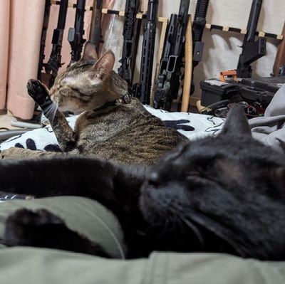 猫4匹と鉄砲に囲まれて楽しく生きてる小さいおじさん。
WE SVDの人。WA系AR大好き タルコフ市民
過去作品が欲しい方はDMまで。