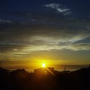 Phyllis Wooten - @pwjquail - Twitter