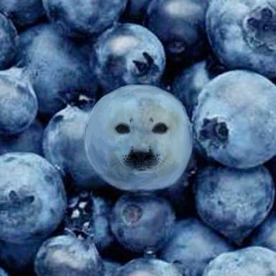 selkies_w4rden's profile picture. 💨when you have an unhealthy obsession with the HoF and Grey Wardens💨 in need of Selkie content🦭