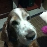 verofilu (@verofilu) 's Twitter Profile Photo verofilu (@verofilu) 's Twitter Profile Photo