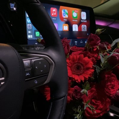 basoom9900's profile picture. “ أحيا بطريقةٍ ما لأجل التفاصيـل التي  تعنيني وتُشبهني وتبُهجني 🛋️🌷🍃  “