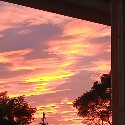 wheel_excavator's profile picture. 