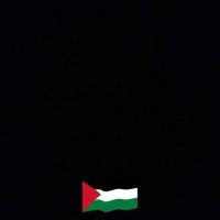 Mohamed Abdelgawad (@moabdelgaw9d) 's Twitter Profile