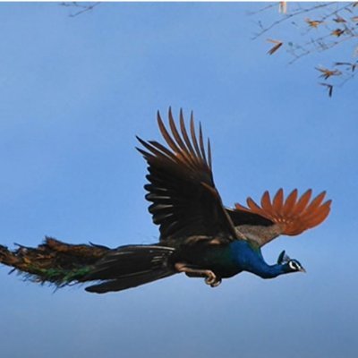 lisa566899's profile picture. 