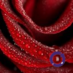 priya pillai (@priyaapillai) Twitter profile photo priya pillai (@priyaapillai) Twitter profile photo
