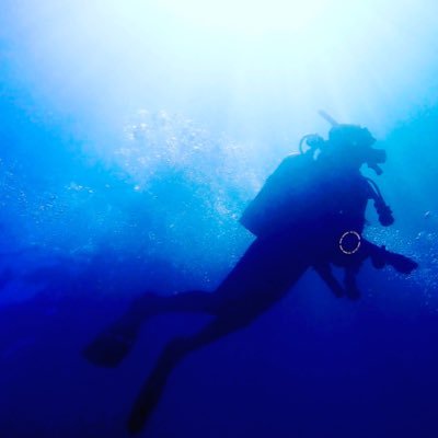 ☆*ꪀꪖꪮꪑ𝓲☆.｡.:.+*:ﾟさんのプロフィール画像