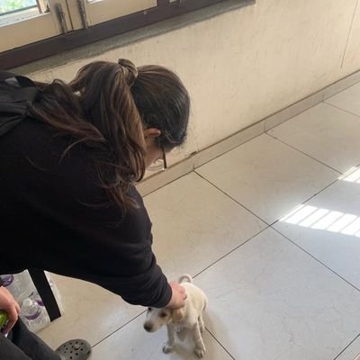 a_deity21's profile picture. Passionate. Inquisitive. Learning