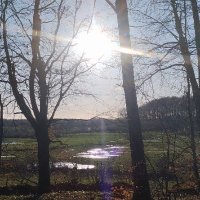 unknown 501 (@matrixcorrecti1) Twitter profile photo