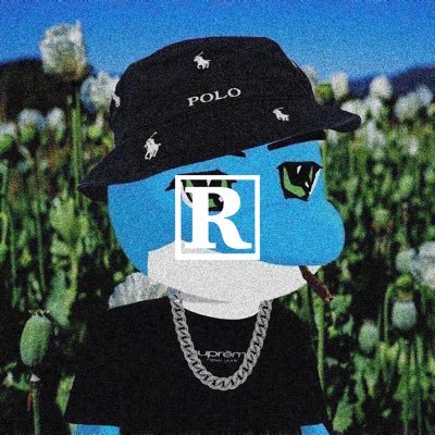 Cryptoprync's profile picture. Retard addicted to gambling