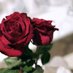 ASZ (@ahid2396447) Twitter profile photo ASZ (@ahid2396447) Twitter profile photo