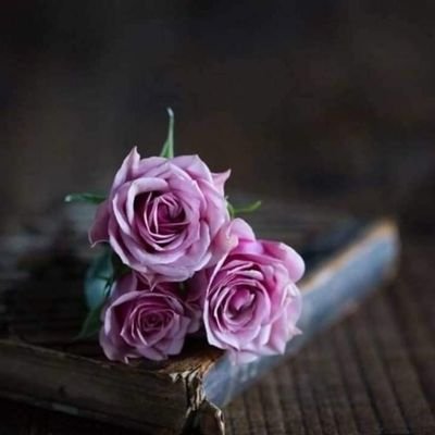 Jessica__7711's profile picture. 