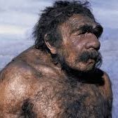 bearnuscs's profile picture. 