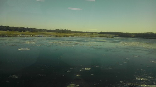 emunguiab's profile picture. 