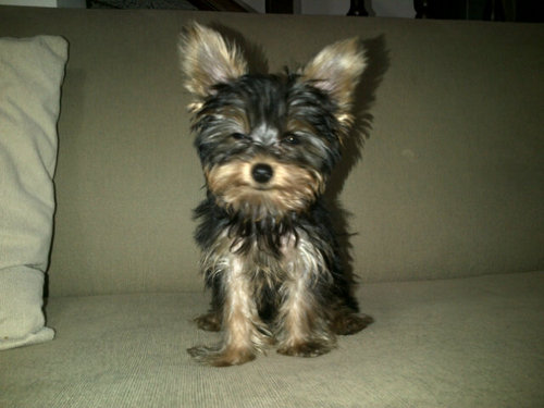 kikesan73's profile picture. Actualizado