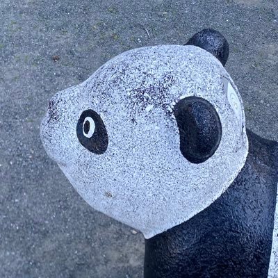 ラズロ、ここは怒るところだぞ