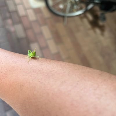 RLrG0O9JejEq's profile picture. 医学部目指す学生