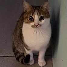 K6580059388721's profile picture. 