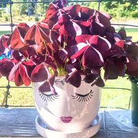 Katherine Cain (@katheri73214366) 's Twitter Profile Photo Katherine Cain (@katheri73214366) 's Twitter Profile Photo