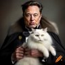 CoedYGo's profile picture. Hate what the psychopath Musk has done to Twitter. Now a cesspit of ghouls & fake news. Can now be found at https://t.co/RmTFDbltKH