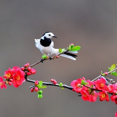 poppp_k's profile picture. 32GQX4G7