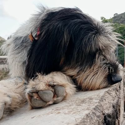 Leire38713739's profile picture. 