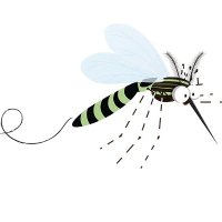 Mosquitos Buenos (@mosquitosbuenos) 's Twitter Profile