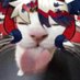 黒猫クロ (@hmaokuro) Twitter profile photo 黒猫クロ (@hmaokuro) Twitter profile photo
