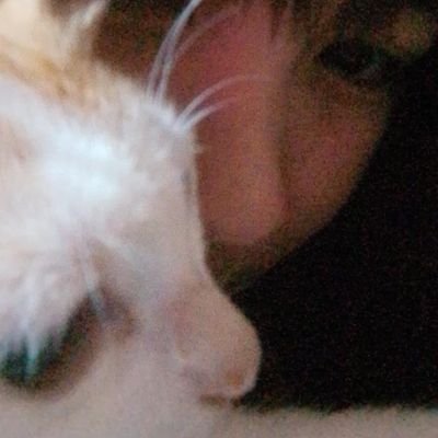 Ariie0_'s profile picture. WHAT!?