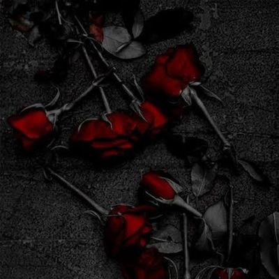 mytiredlove's profile picture. Sana seni anlattım...
Geceler boyu seni sayıkladım...
Yüreğime diyemediklerimi attıkça...
Söyleyemediğim sözleri sayfaya nakşetmeye başladım..