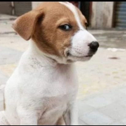 007butthead's profile picture. Eat,Drink And Be Merry!! For Tomorrow We Die!