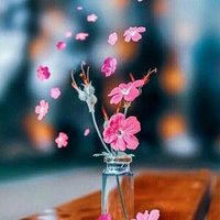 Maram (@marammaram95148) 's Twitter Profile