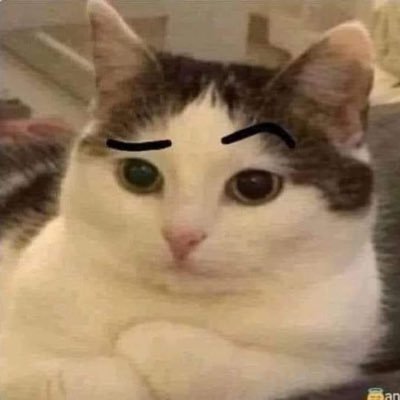 NorvaniJavier's profile picture. 