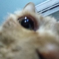 ทรายทราย (@sinebysine__) 's Twitter Profile