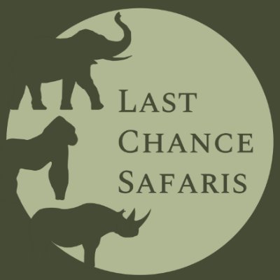 Curated African safaris crafted for unforgettable adventures. Experience. Awareness. Conservation.