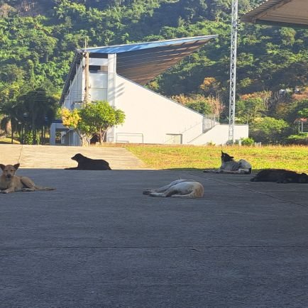 sawaddee5554's profile picture. 