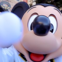 ๐ญ๐ป (@sunflower_mouse) 's Twitter Profile
