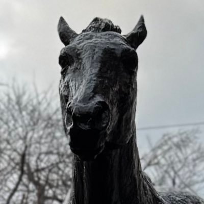 umayanagiumatro's profile picture. うま🐎