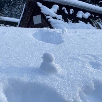 austraropiteku5's profile picture. ycsjファイナリスト 最近はゴルフと麻雀とサウナ 袖ヶ浦カンツリー倶楽部正会員