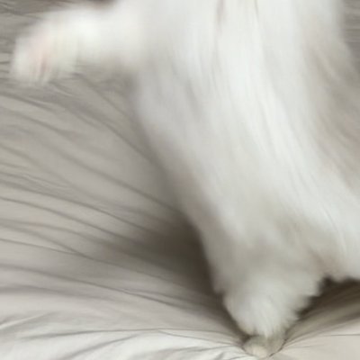 페이퍼さんのプロフィール画像