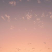 N🦋 (@beautifulhazel5) 's Twitter Profile