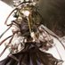 閻魔大王 (@ljawq34f1w31237) Twitter profile photo 閻魔大王 (@ljawq34f1w31237) Twitter profile photo