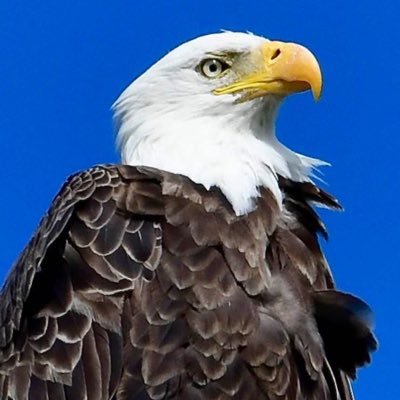 nola_ts's profile picture. 