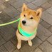 TOM YUM GUY (@kmkyz1009) Twitter profile photo TOM YUM GUY (@kmkyz1009) Twitter profile photo